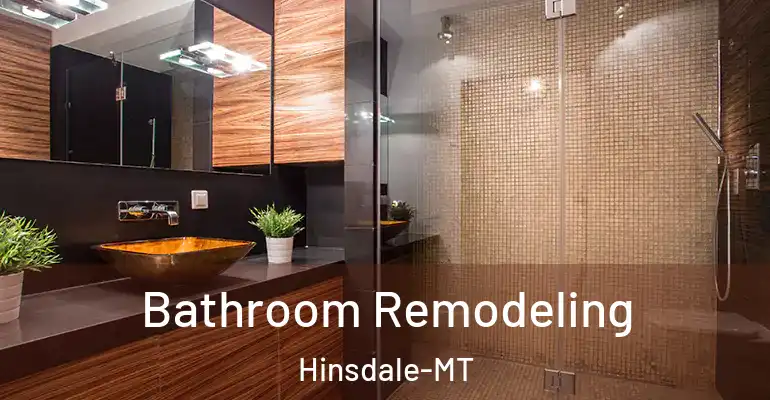inner Bathroom imggen Bathroom Remodeling Hinsdale-MT