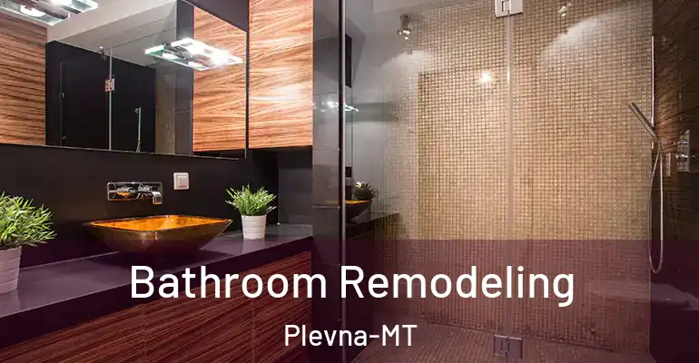 inner Bathroom imggen Bathroom Remodeling Plevna-MT