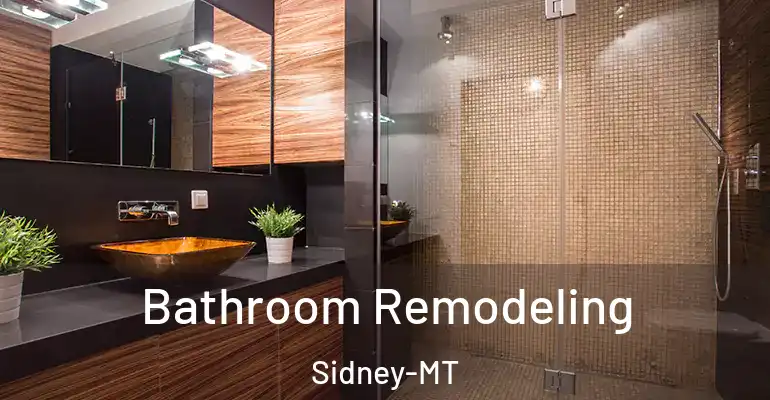 inner Bathroom imggen Bathroom Remodeling Sidney-MT