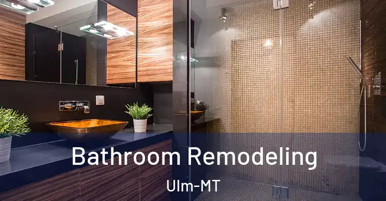 inner Bathroom imggen Bathroom Remodeling Ulm-MT