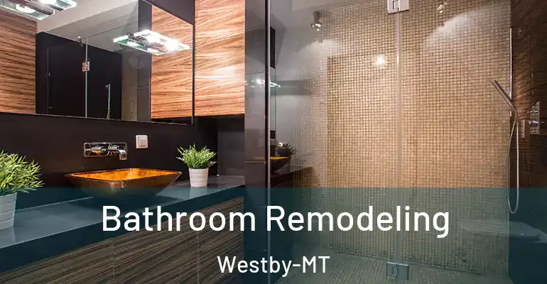 inner Bathroom imggen Bathroom Remodeling Westby-MT