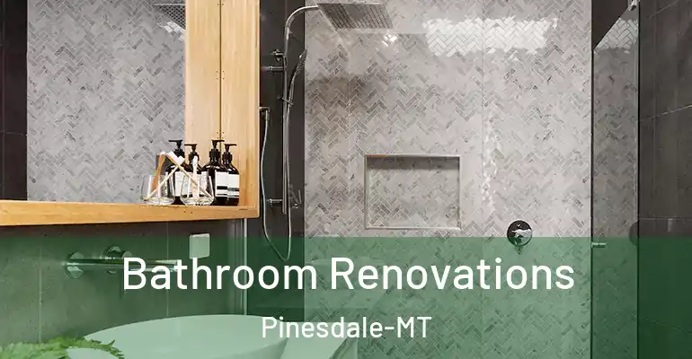 inner Bathroom imggen Bathroom Renovations Pinesdale-MT