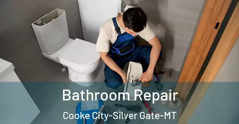 inner Bathroom imggen Bathroom Repair Cooke City-Silver Gate-MT
