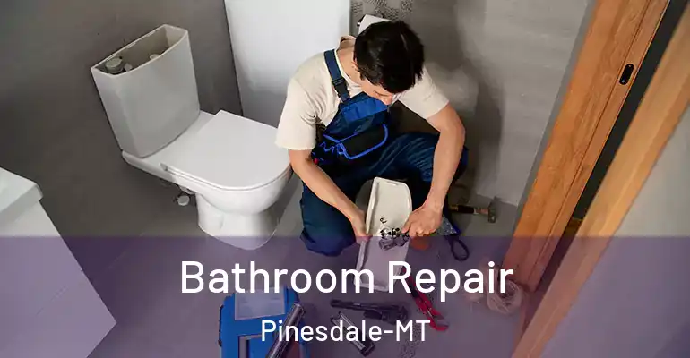 inner Bathroom imggen Bathroom Repair Pinesdale-MT