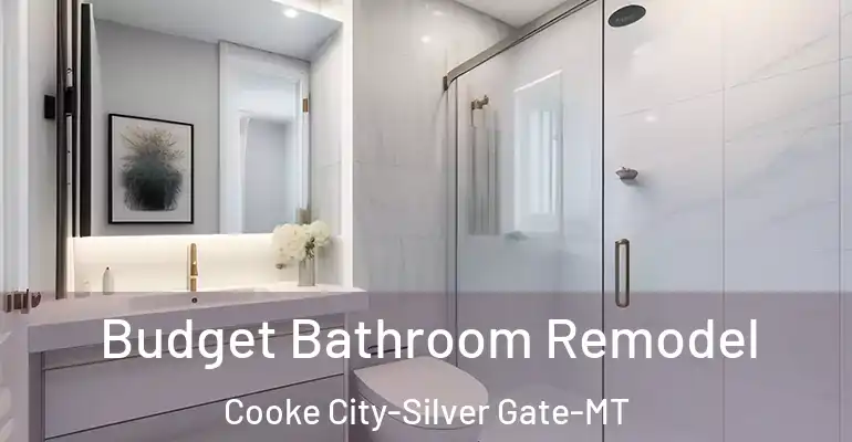 inner Bathroom imggen Budget Bathroom Remodel Cooke City-Silver Gate-MT