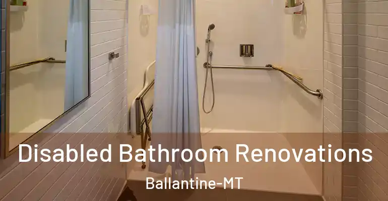inner Bathroom imggen Disabled Bathroom Renovations Ballantine-MT