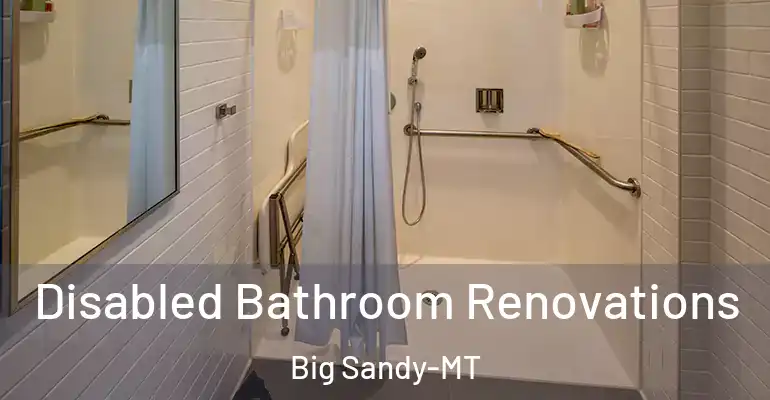 inner Bathroom imggen Disabled Bathroom Renovations Big Sandy-MT