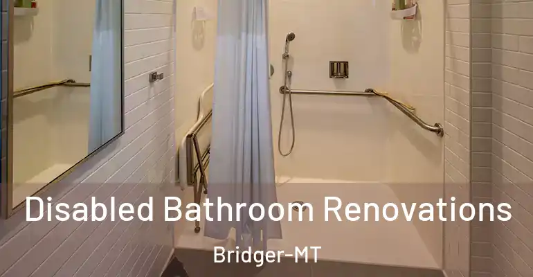 inner Bathroom imggen Disabled Bathroom Renovations Bridger-MT