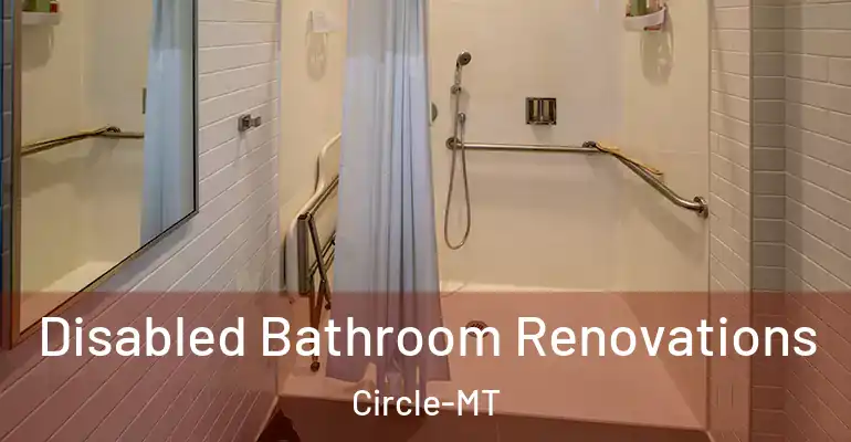 inner Bathroom imggen Disabled Bathroom Renovations Circle-MT