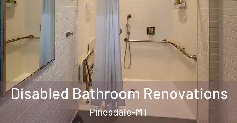 inner Bathroom imggen Disabled Bathroom Renovations Pinesdale-MT