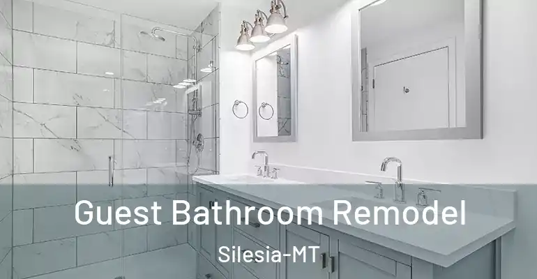 inner Bathroom imggen Guest Bathroom Remodel Silesia-MT
