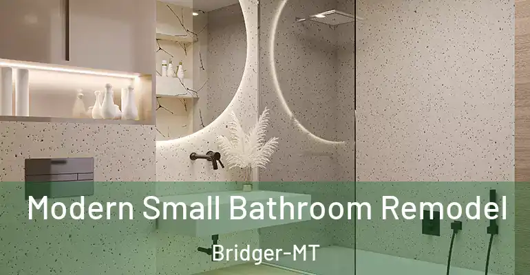 inner Bathroom imggen Modern Small Bathroom Remodel Bridger-MT