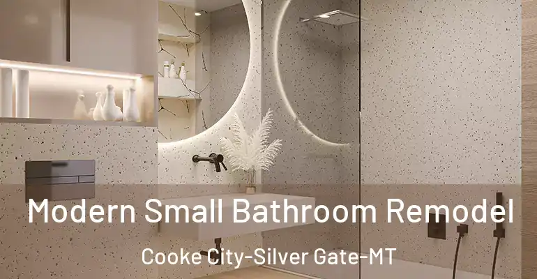 inner Bathroom imggen Modern Small Bathroom Remodel Cooke City-Silver Gate-MT