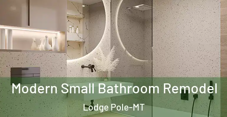 inner Bathroom imggen Modern Small Bathroom Remodel Lodge Pole-MT