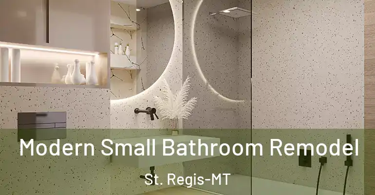 inner Bathroom imggen Modern Small Bathroom Remodel St. Regis-MT