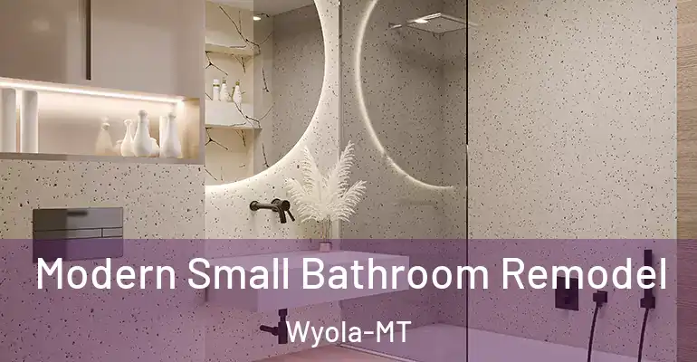 inner Bathroom imggen Modern Small Bathroom Remodel Wyola-MT