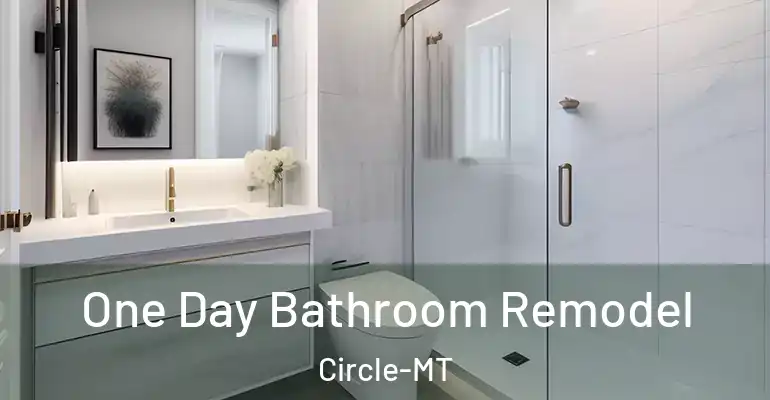 inner Bathroom imggen One Day Bathroom Remodel Circle-MT