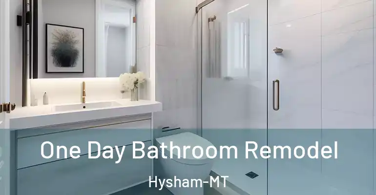 inner Bathroom imggen One Day Bathroom Remodel Hysham-MT