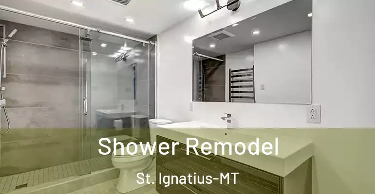 inner Bathroom imggen Shower Remodel St. Ignatius-MT