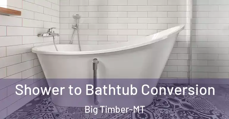 inner Bathroom imggen Shower to Bathtub Conversion Big Timber-MT