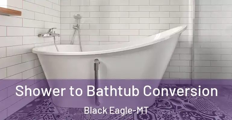 inner Bathroom imggen Shower to Bathtub Conversion Black Eagle-MT