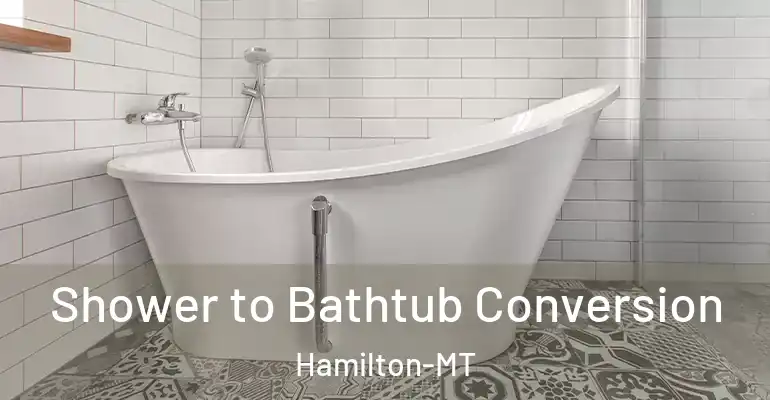 inner Bathroom imggen Shower to Bathtub Conversion Hamilton-MT