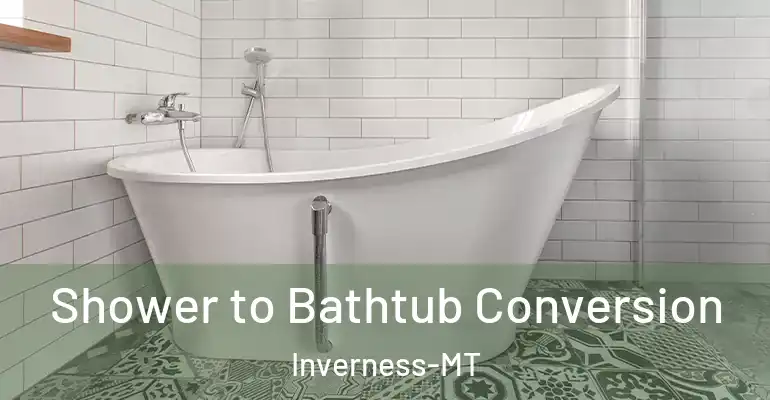 inner Bathroom imggen Shower to Bathtub Conversion Inverness-MT