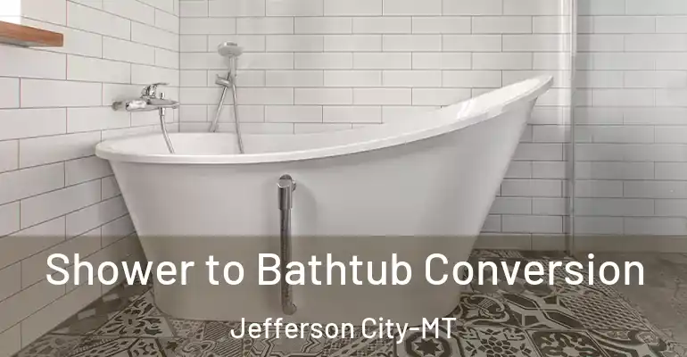 inner Bathroom imggen Shower to Bathtub Conversion Jefferson City-MT