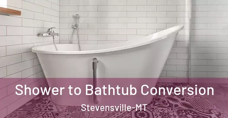 inner Bathroom imggen Shower to Bathtub Conversion Stevensville-MT