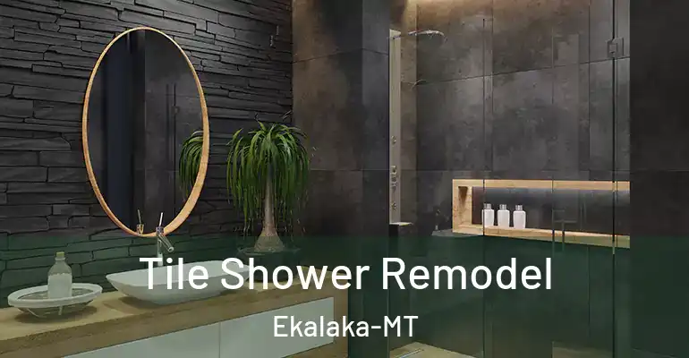 inner Bathroom imggen Tile Shower Remodel Ekalaka-MT