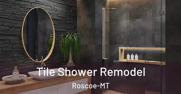 inner Bathroom imggen Tile Shower Remodel Roscoe-MT