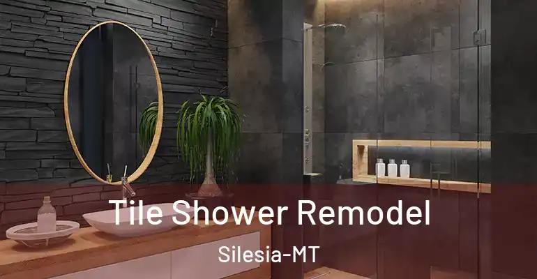 inner Bathroom imggen Tile Shower Remodel Silesia-MT