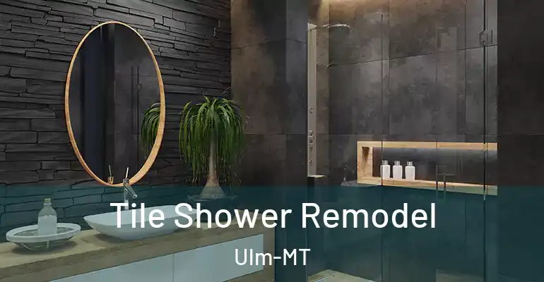 inner Bathroom imggen Tile Shower Remodel Ulm-MT