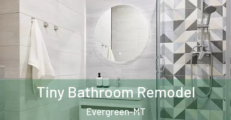 inner Bathroom imggen Tiny Bathroom Remodel Evergreen-MT