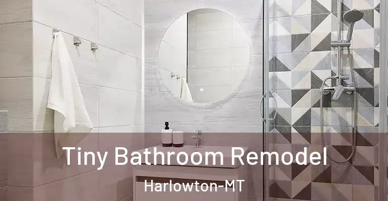 inner Bathroom imggen Tiny Bathroom Remodel Harlowton-MT