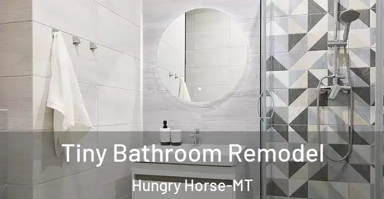 inner Bathroom imggen Tiny Bathroom Remodel Hungry Horse-MT
