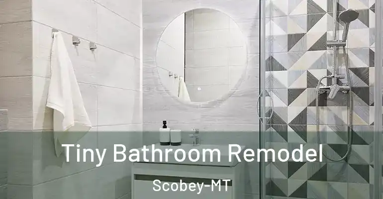 inner Bathroom imggen Tiny Bathroom Remodel Scobey-MT