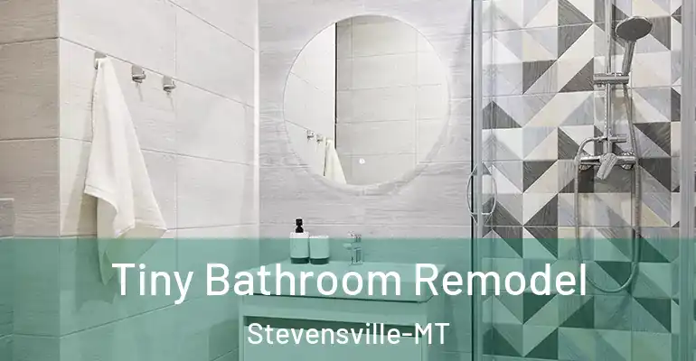 inner Bathroom imggen Tiny Bathroom Remodel Stevensville-MT