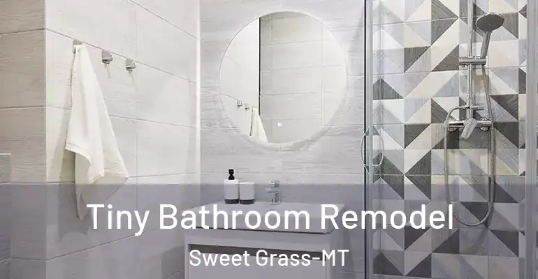 inner Bathroom imggen Tiny Bathroom Remodel Sweet Grass-MT