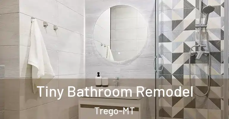 inner Bathroom imggen Tiny Bathroom Remodel Trego-MT