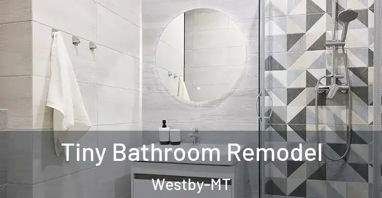 inner Bathroom imggen Tiny Bathroom Remodel Westby-MT