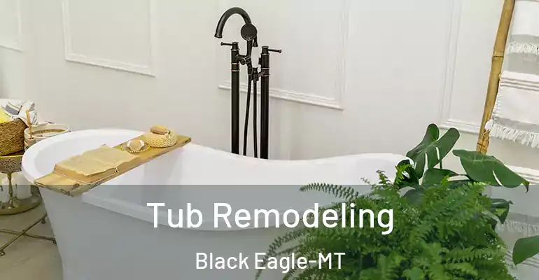 inner Bathroom imggen Tub Remodeling Black Eagle-MT