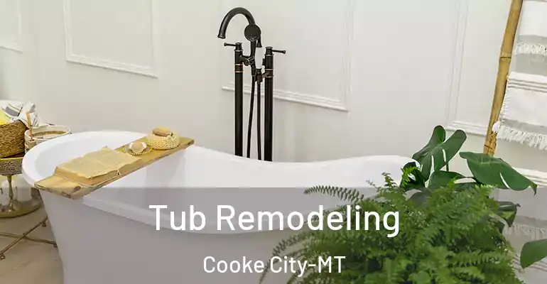 inner Bathroom imggen Tub Remodeling Cooke City-MT