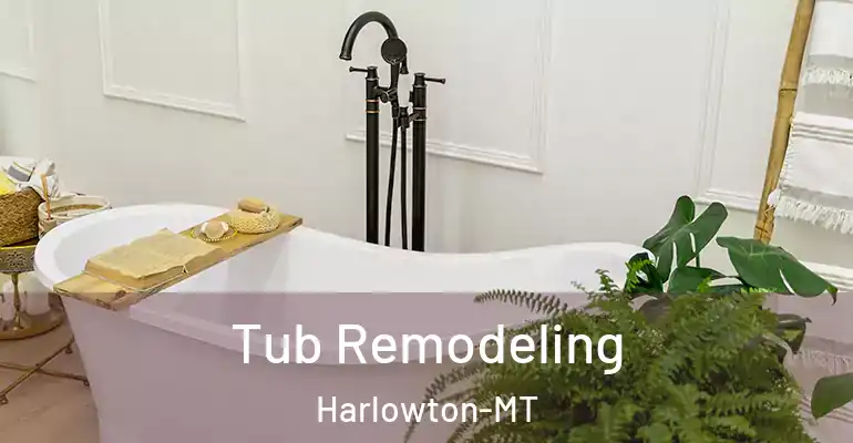 inner Bathroom imggen Tub Remodeling Harlowton-MT