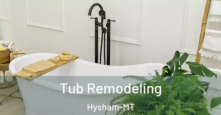 inner Bathroom imggen Tub Remodeling Hysham-MT
