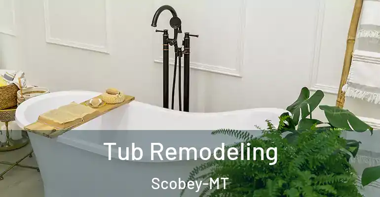 inner Bathroom imggen Tub Remodeling Scobey-MT