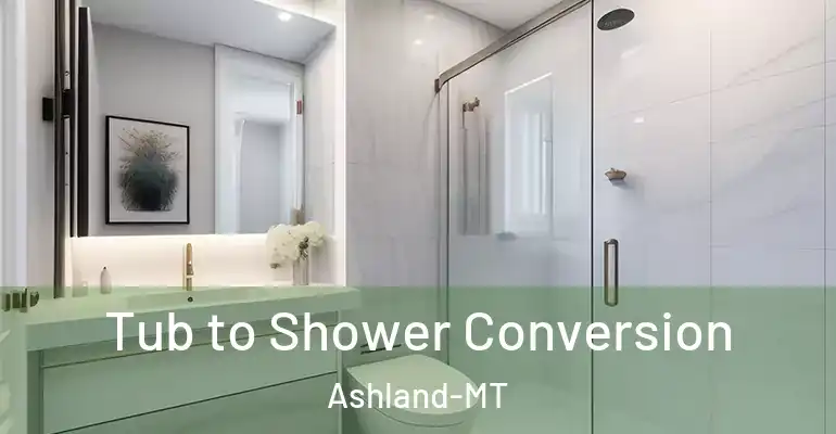 inner Bathroom imggen Tub to Shower Conversion Ashland-MT