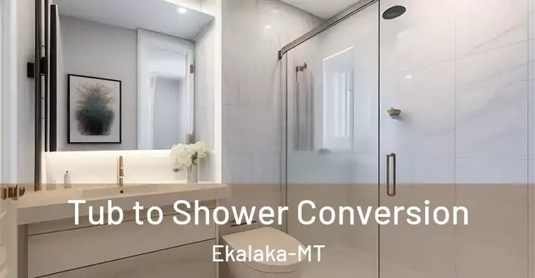 inner Bathroom imggen Tub to Shower Conversion Ekalaka-MT