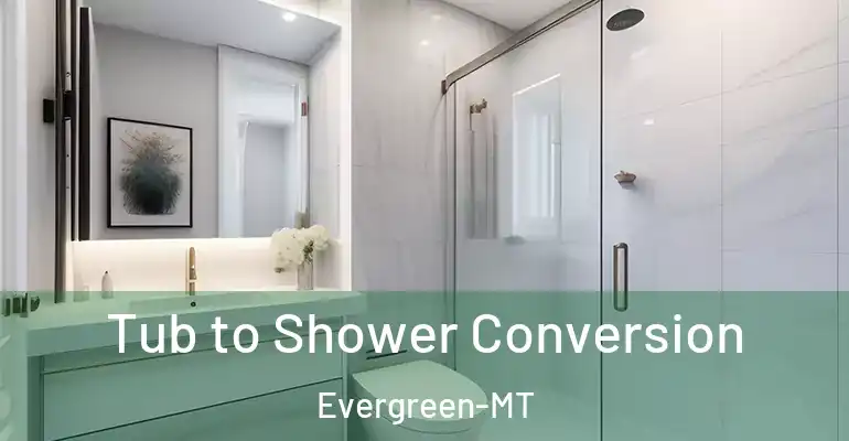 inner Bathroom imggen Tub to Shower Conversion Evergreen-MT
