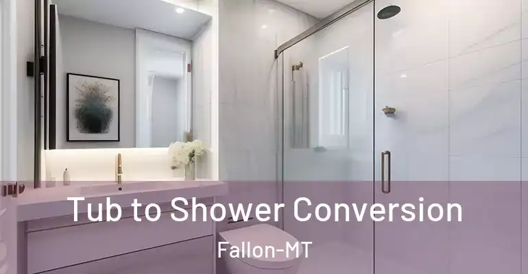 inner Bathroom imggen Tub to Shower Conversion Fallon-MT
